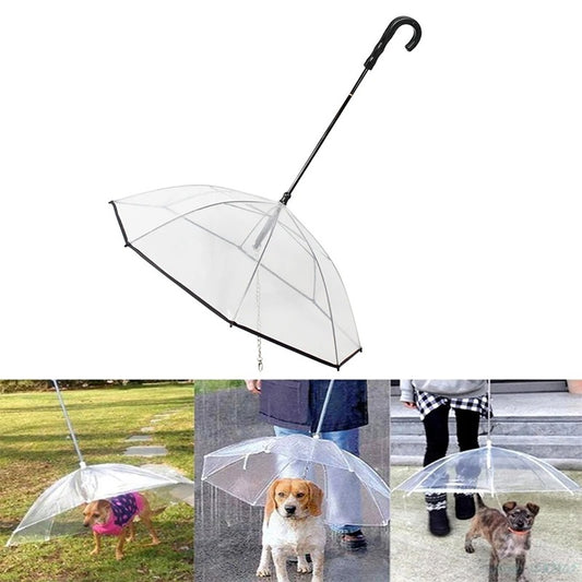 Transparent Pet Umbrella
