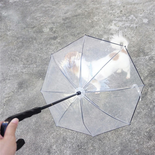 Transparent Pet Umbrella